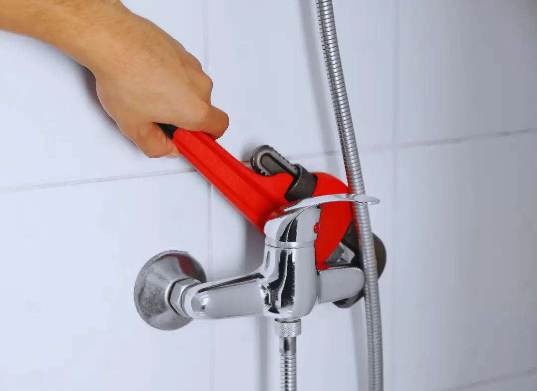 Mitigeur Thermostatique douche Bons-en-Chablais